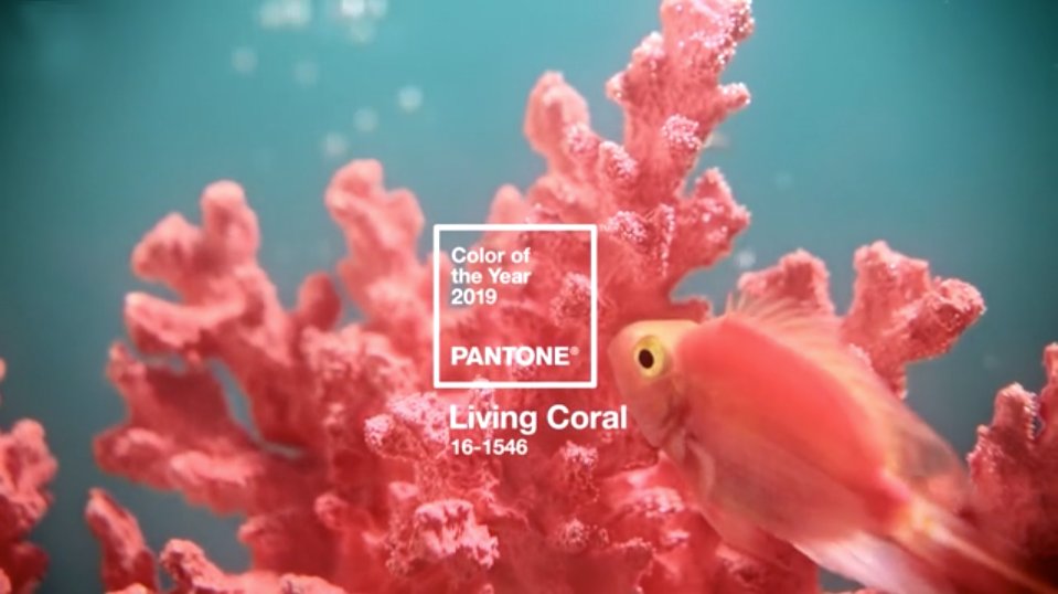Pantone colour of the year 2019 - Living Coral